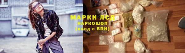 прущие грибы Касимов
