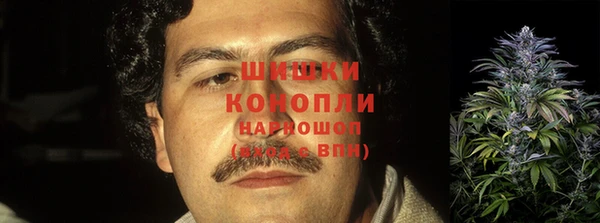 прущие грибы Касимов