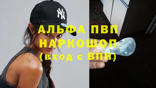 прущие грибы Касимов