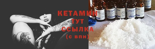 прущие грибы Касимов