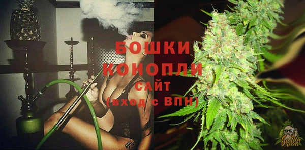 прущие грибы Касимов