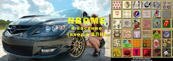 прущие грибы Касимов