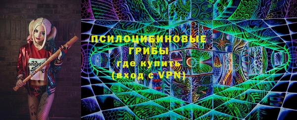 прущие грибы Касимов