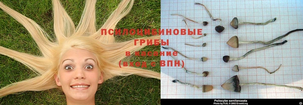 мяу мяу мука Карпинск