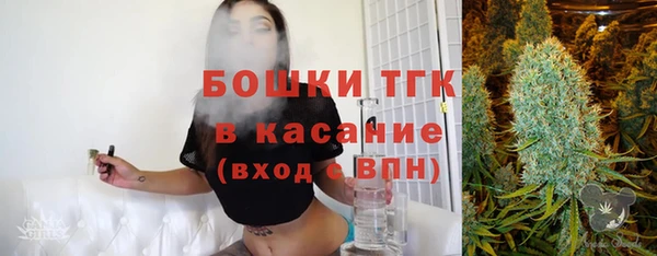 прущие грибы Касимов