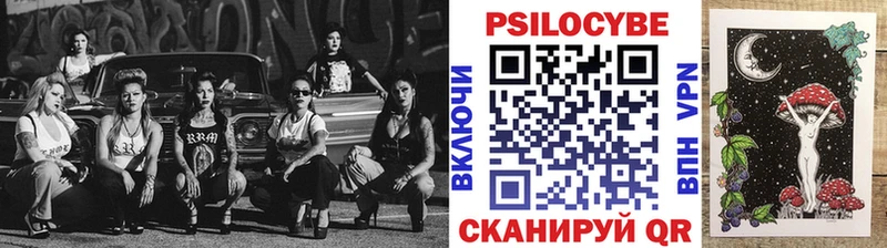 Купить где  Бежецк  Псилоцибиновые грибы Magic Shrooms 